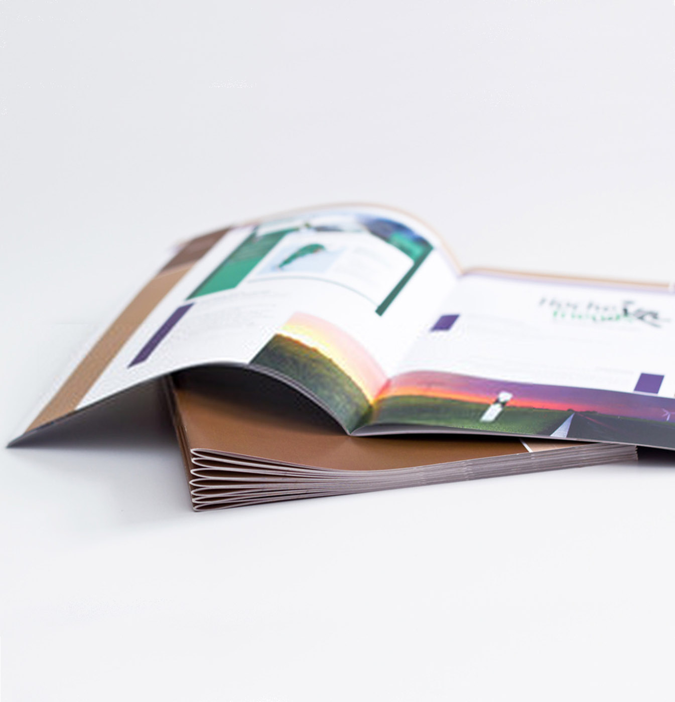 Business Cards, Brochures & Banners